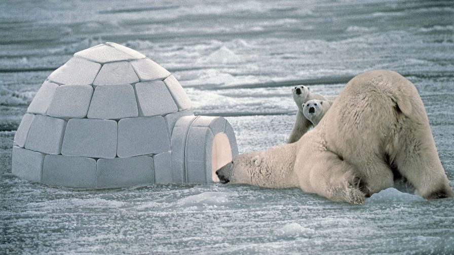 63