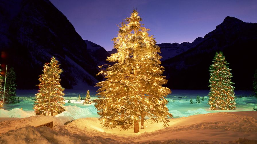 Christmas (1)