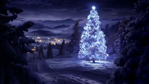 Christmas (36)