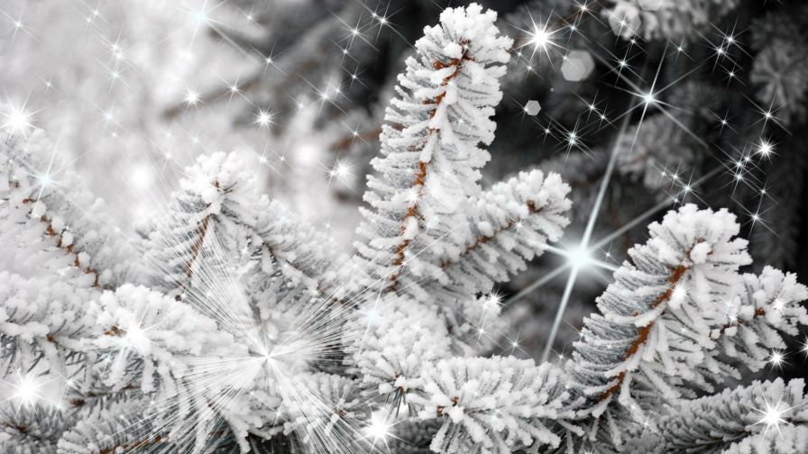 Christmas (40)
