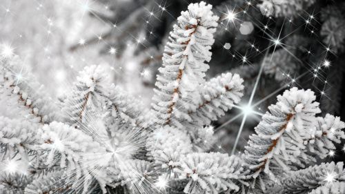 Christmas (40)