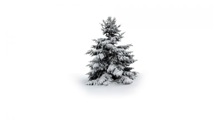 Christmas (43)