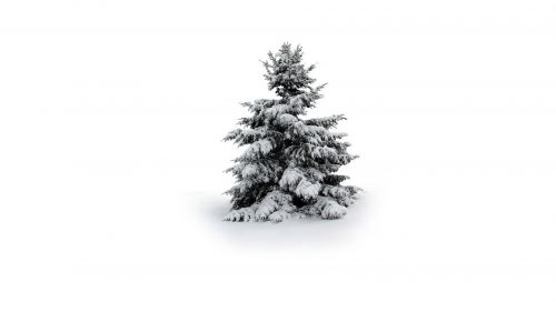 Christmas (43)