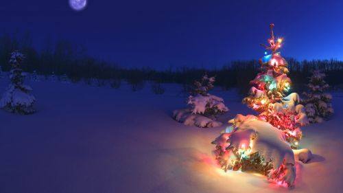 Christmas (5)
