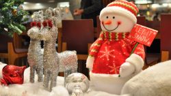 Novogodnie Oboi 2015 3 Igoryk CWER.WS (5)
